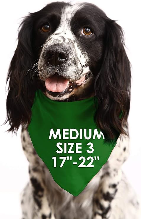 promoted to big brother dog bandana