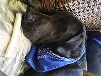 Review Image by J. Evans J. Evans