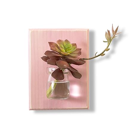 Buy Wood Meets Color Wall Vases Creative Handcrafted Hanging