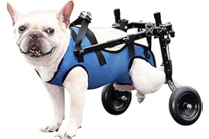 Huimpet Dog Wheelchair for Back Legs, Dog Wheelchair for Small Dog, Adjustable Pets Cart with Wheels, Doggy Wheelchairs for Disabled Hind Legs, Dog Leg Brace and Hip Support