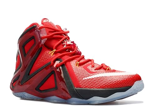 lebron xii elite