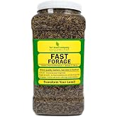TNT Seed Company Fast Forage Deer Food Plot Seed Mix, 1/4 Acre, Throw &amp; Grow, No-Till Food Plot Seed, Winter Peas, Forage Oats, Winter Rye, Radish, Kale &amp; Brassica, Spring or Fall Planting