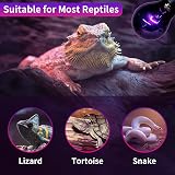 LUCKY HERP Reptile Night Heat Bulb 50W UVA Heat Lamp Moonlight Basking view 5