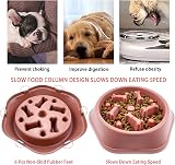 CAISHOW Slow Feeder Dog Bowl for Small Medium Dogs Non-Slip 9.25x8.85x1.96 in view 5