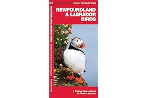 Newfoundland & Labrador Birds
