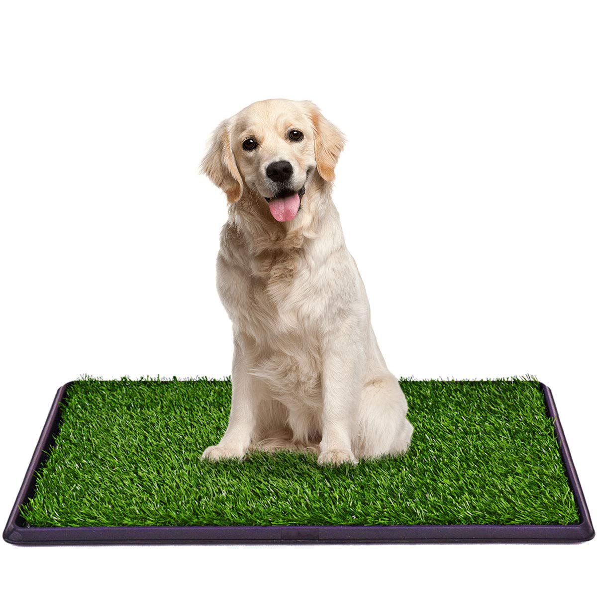 Giantex Dog Puppy Pet Potty Pad, Home Training Toilet Pad ...