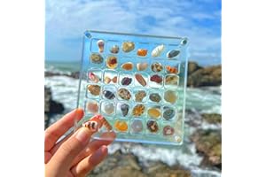FLEWFUN 2 Pcs Acrylic Magnetic Seashell Display Box, 36 Grids Clear Mini Magnetic Seashell Display Box for Seashell, Bead, Nail, Jewelry, Clear Acrylic Organizer, Seashell Display Box
