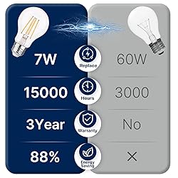FLSNT 60W Equivalent Dimmable A19 LED Light
