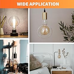 ALAMPEVER Large Globe LED Light Bulbs, Decorative