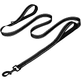 Joytale Dog Leash for Large Dogs that Pull, Double Handle, 6FT, Black | Traffic Handle for Control, Padded Handle Reduces Hand Strain, Reflective Stitching for Night Safety, Strong Nylon Webbing