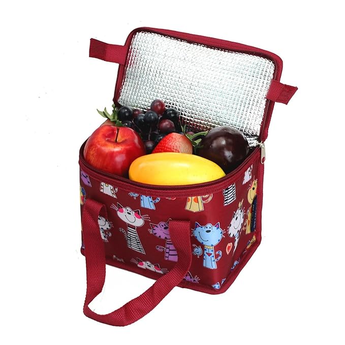 Sac Repas Sac à Déjeuner Isotherme Imperméable Pliable Lunch Bag ...