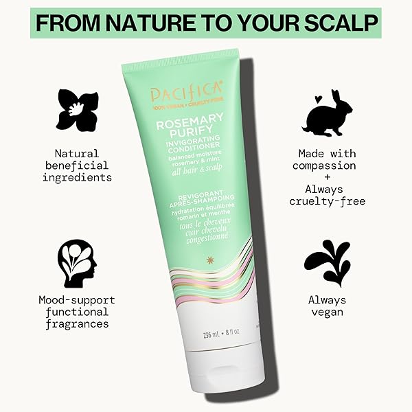 PACIFICA CONDITIONER – ROSEMARY PURIFY INVIGORATING CONDITIONER WITH HYDRATING JOJOBA & COOLING MINT FOR BALANCED MOISTURE, SULFATE-FREE, VEGAN & CRUELTY-FREE, 8 OZ