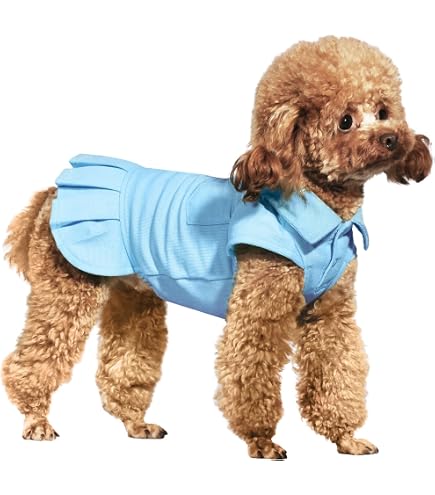 Adorable Athleisure Set! Topkins Dog Dress With Crop Top & Skirt – For Small/Medium Dogs, Green Stripe, Cotton, Adjustable Waist (2-Piece)
