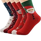 Century Star 5 Pairs Cashmere Wool Full Cushion