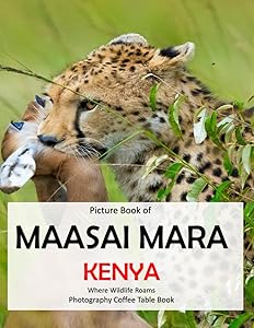 kindle best category lists