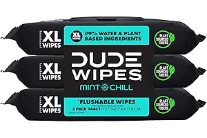 DUDE Wipes Flushable Wet Wipes Dispenser, Mint Chill, 48 Count (Pack of 3) Scented Wet Wipes with Vitamin-E, Aloe, Eucalyptus