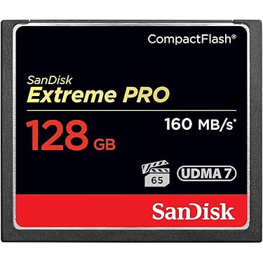 Amazon Best Sellers: Best CompactFlash Memory Cards