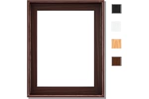 P&L ART. Canvas Floating Frame, Picture Wall Art Painting Frame for Finished Canvas Painting 1-1/4 Deep Picture Art Wall Decor. (Dark Brown, 16x20)