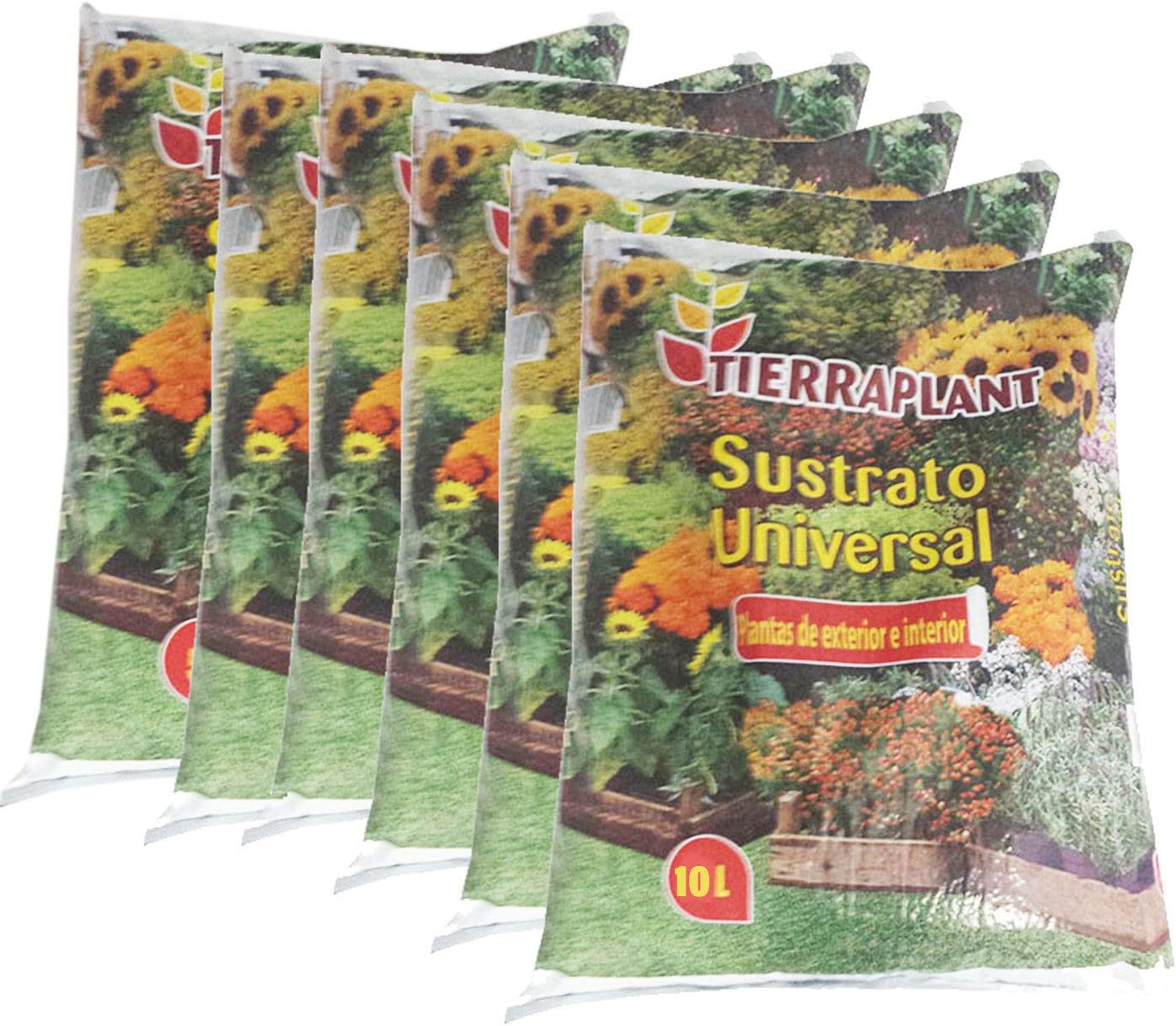 Tierraplant - Pack de 6 Sustrato Universal 10 L: Amazon.es: Hogar