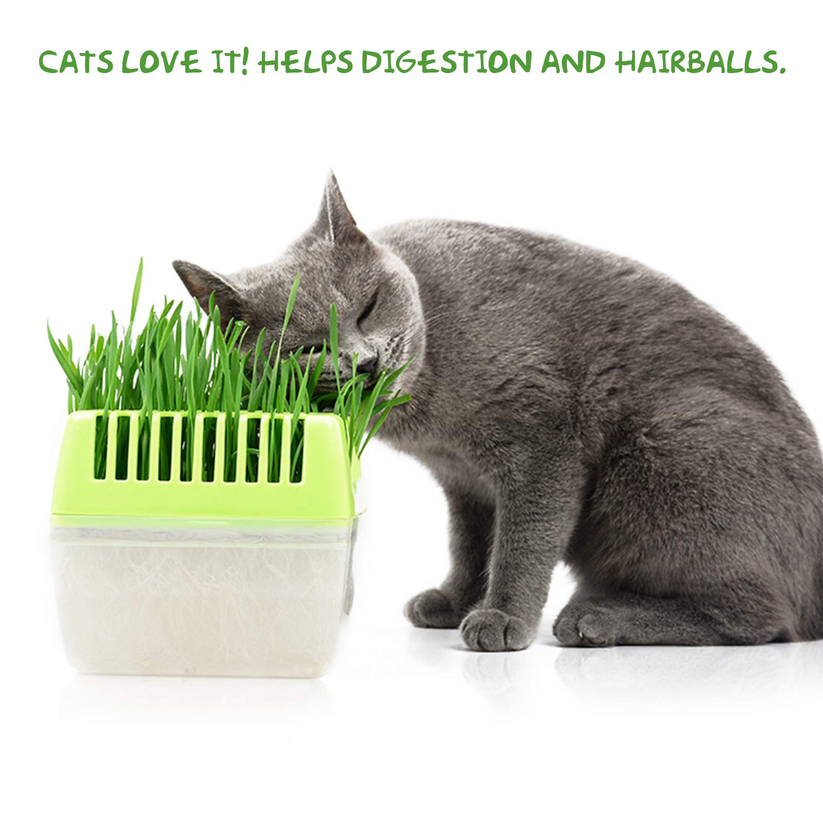 KORAM Cat Grass Growing Kit Organic Pet Grass Kit with Oats Rye Wheat Seeds Trays & Soil Natural Hairball Control Healthy Treat for Cats