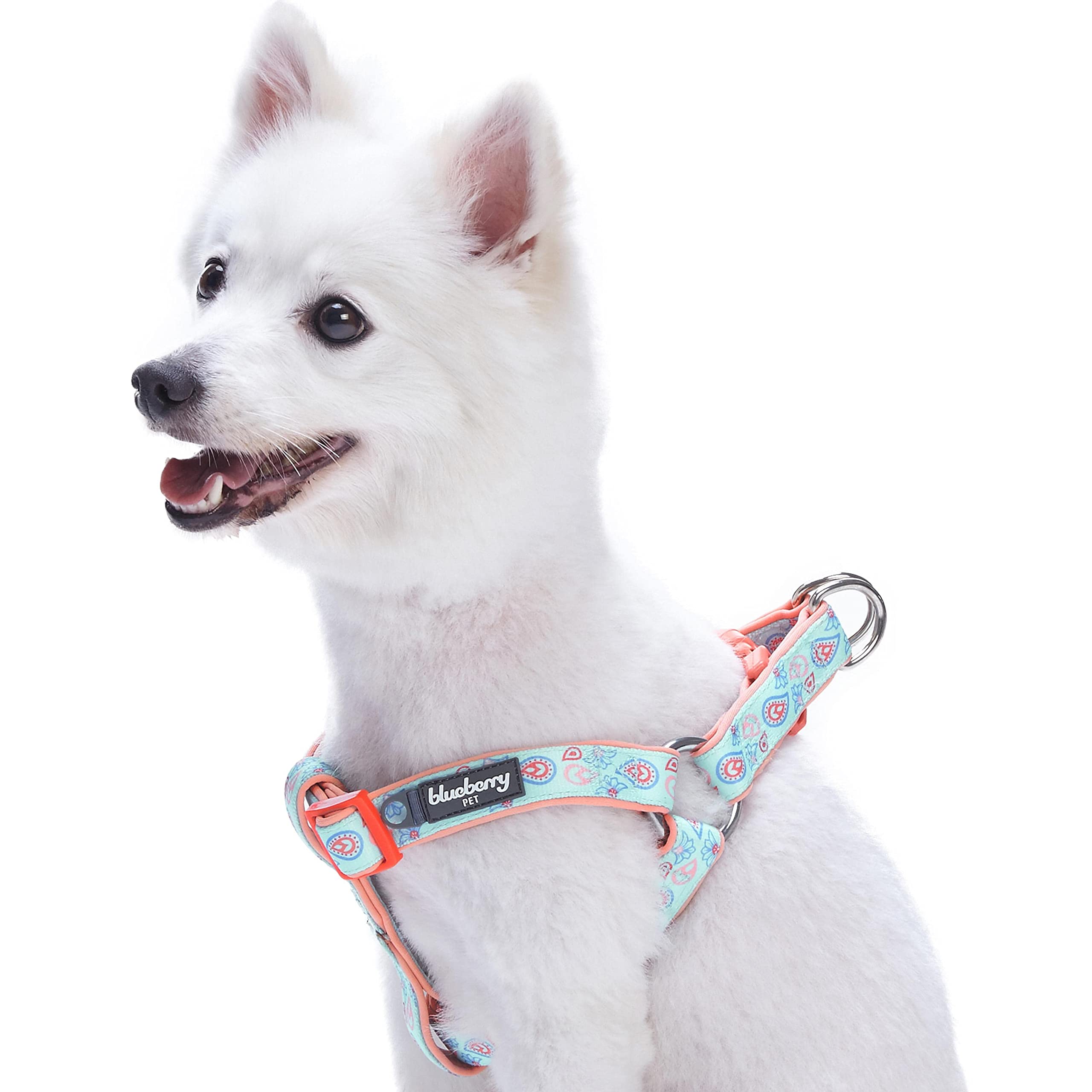 Blueberry Pet New Soft & Comfy Step-in Paisley Flower Print Dog Harness, Chest Girth 67cm-98cm, Pastel Blue, Large, Adjustable Harnesses for Dogs