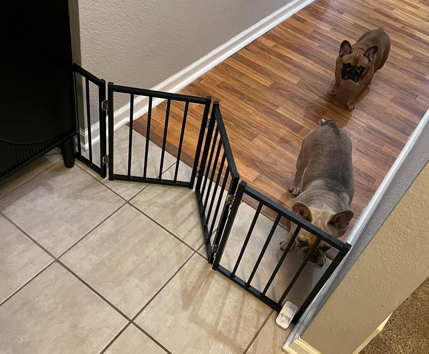 Photo 1 of ***MISSING PARTS***
BFNN Free Standing Dog Gate, 16.5" Short Pet Gate for Stairs and Doorways, Up to 48" Wide Foldable Puppy Fence, Indoor & Outdoor Use, No Drilling and No Assembly, for Small & Toy Dogs, Black