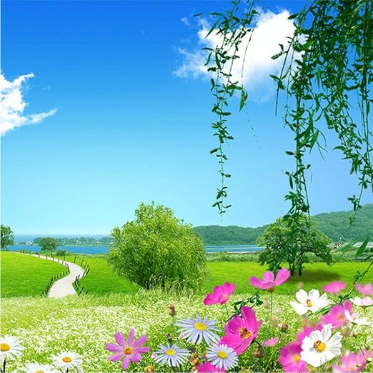 Wuyyii Custom 3d Photo Wall Paper Blue Sky White Clouds Butterfly Natural Landscape Wall Art Mural Home Wallpaper Flower Decoration 0x140cm Amazon Co Uk Diy Tools