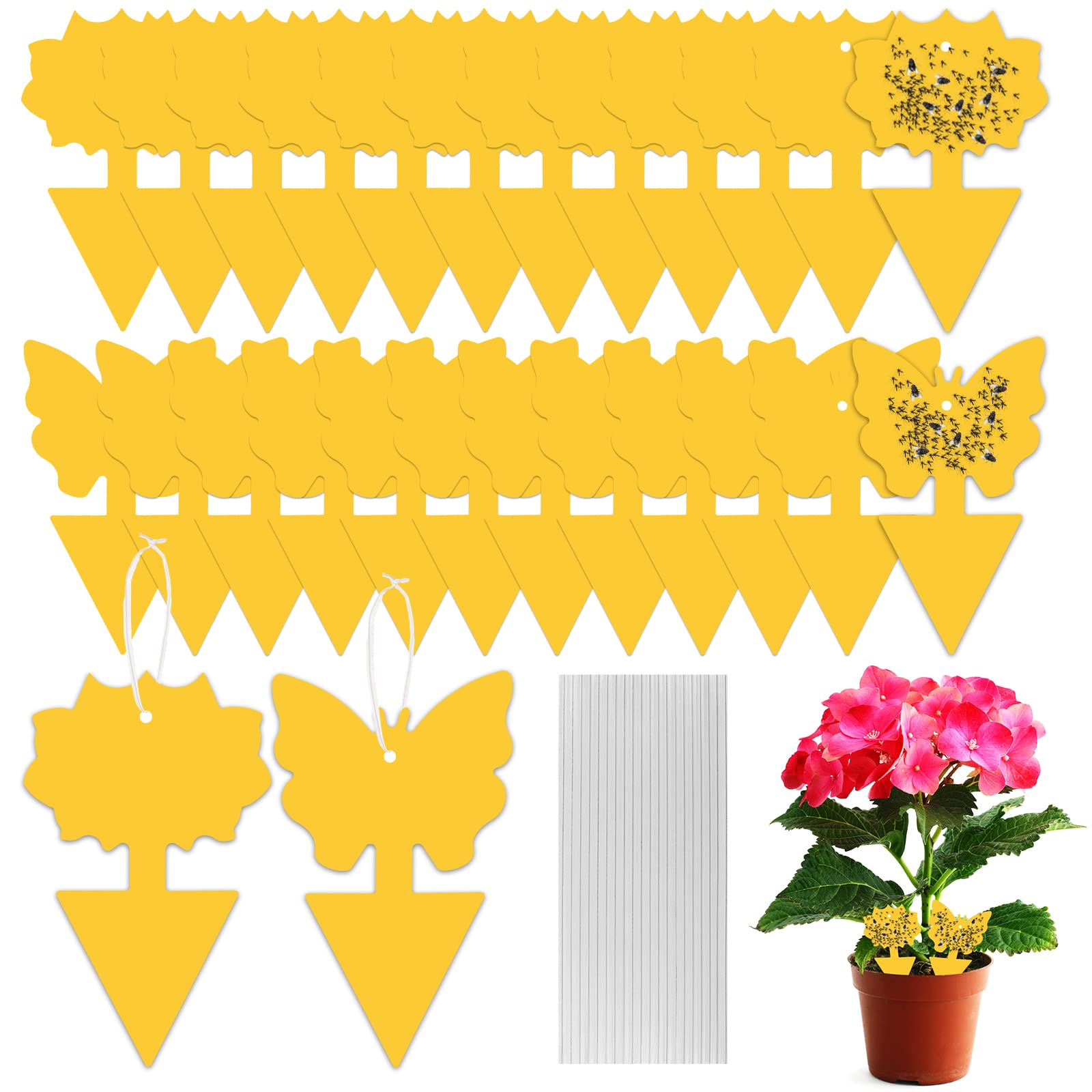 Fruit Fly Trap, 24 PCS Yellow Sticky Fly Traps Killer Fungus Gnat Sticky Traps, Double-Sided Fly Catchers for Protect Plants and Control Indoor Plant Bug, Fly Paper for Flies Mosquitoes Fungus Gnats