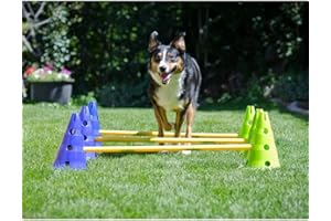 DOG COPENHAGEN Ball Dynamics FitPAWS CanineGym Agility Kit