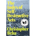 The Index of Self-Destructive Acts