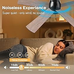 AKOFUN Ceiling Fans with Lights, 52 inch Low