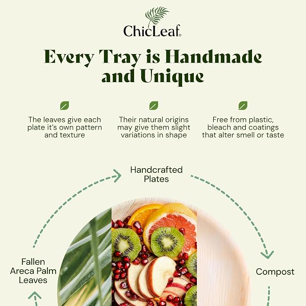 CHIC LEAF 10X14 DISPOSABLE CHARCUTERIE BOARDS, 20 PACK – RECTANGULAR PALM LEAF TRAYS FOR WEDDINGS, SUMMER BRUNCH & OUTDOOR PARTIES – SERVING PLATTERS FOR FRUIT, CHEESE, & CATERING – MICROWAVEABLE