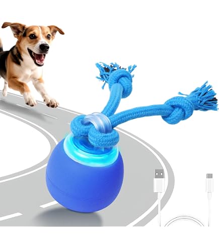 Dog Toy Yobensun Rolling  Automatic Interactive Dog Walker With Chirping  Sounds, Obstacle Avoidance, 3 Speed Modes, USB-C Rechargeable For  Small/Medium Dogs (2-Pack) Automatic Dog Walker Toy