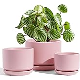LE TAUCI Ceramic Plant Pots, Set of 3, 4.3+5.3+6.8 inch Plant Pots Indoor, Planters Pots with Drainage Hole & Saucer, Indoor