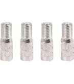 This is a Double Seal Inflate through type valve cap for truck, RV
