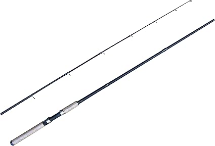 amazon spinning rods
