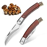 DRACHENADER N-1 Mushroom Knife with Brush Foraging