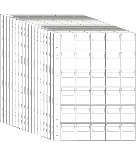 BCW Coin Album Pages – 200 Pages, 20 Pockets Each For 2x2 Flip Holders (Archival Safe)