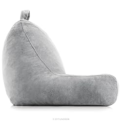 LINENSPA Reading Pillow with Shredded Memory