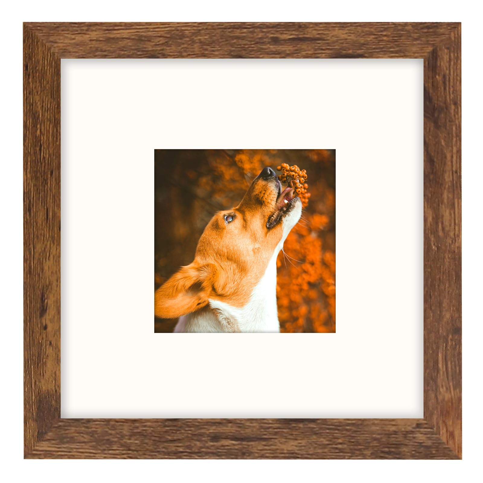 Photo 1 of SNXJWA Brown 8x8 Frame with Mat for 4x4 Display, Desk Wall Square Photo Frame for Horizontal and Vertical, 1 Pack
