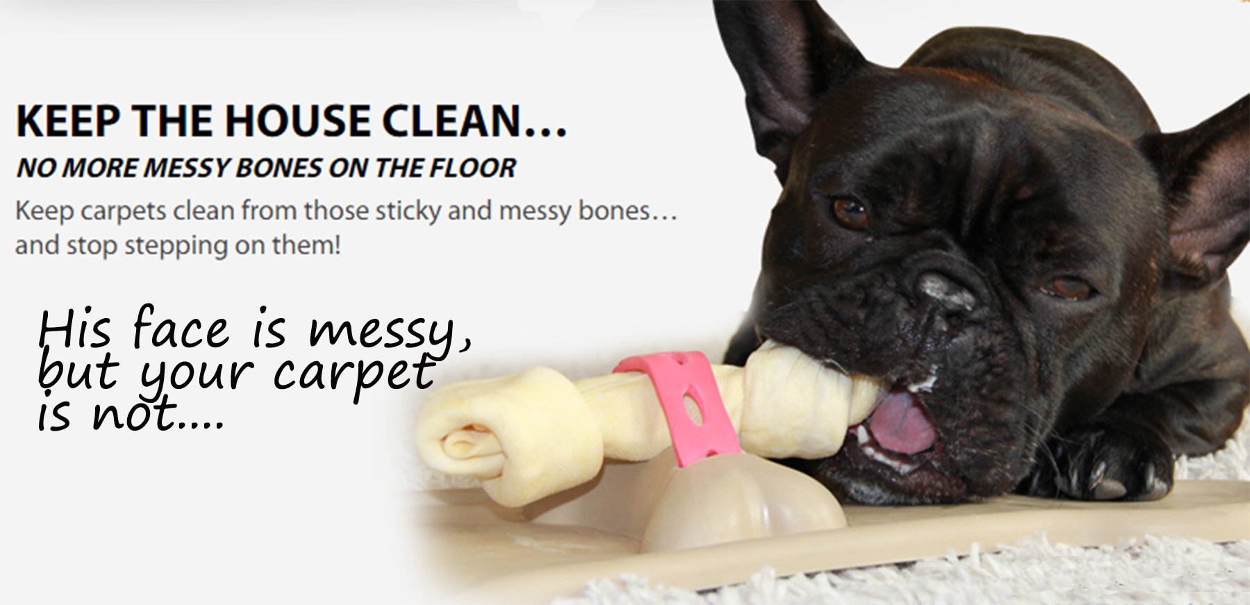 Bone Mat Dog Bone Holder Buy Online in UAE. Pet Supplies Products