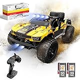 DEERC 9201E 1:10 Large Remote Control Truck with