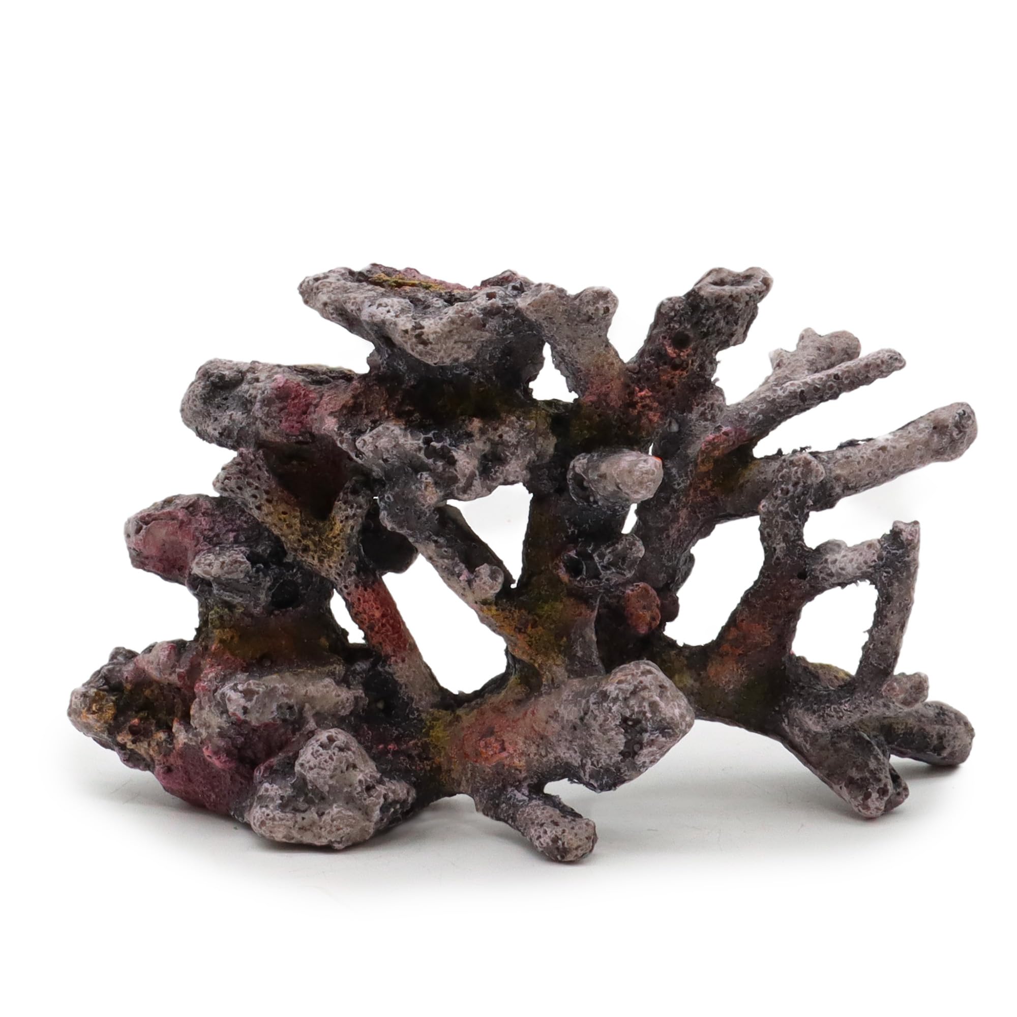 Amtra Resin decoration REEF ROCK BRANCH SM 2