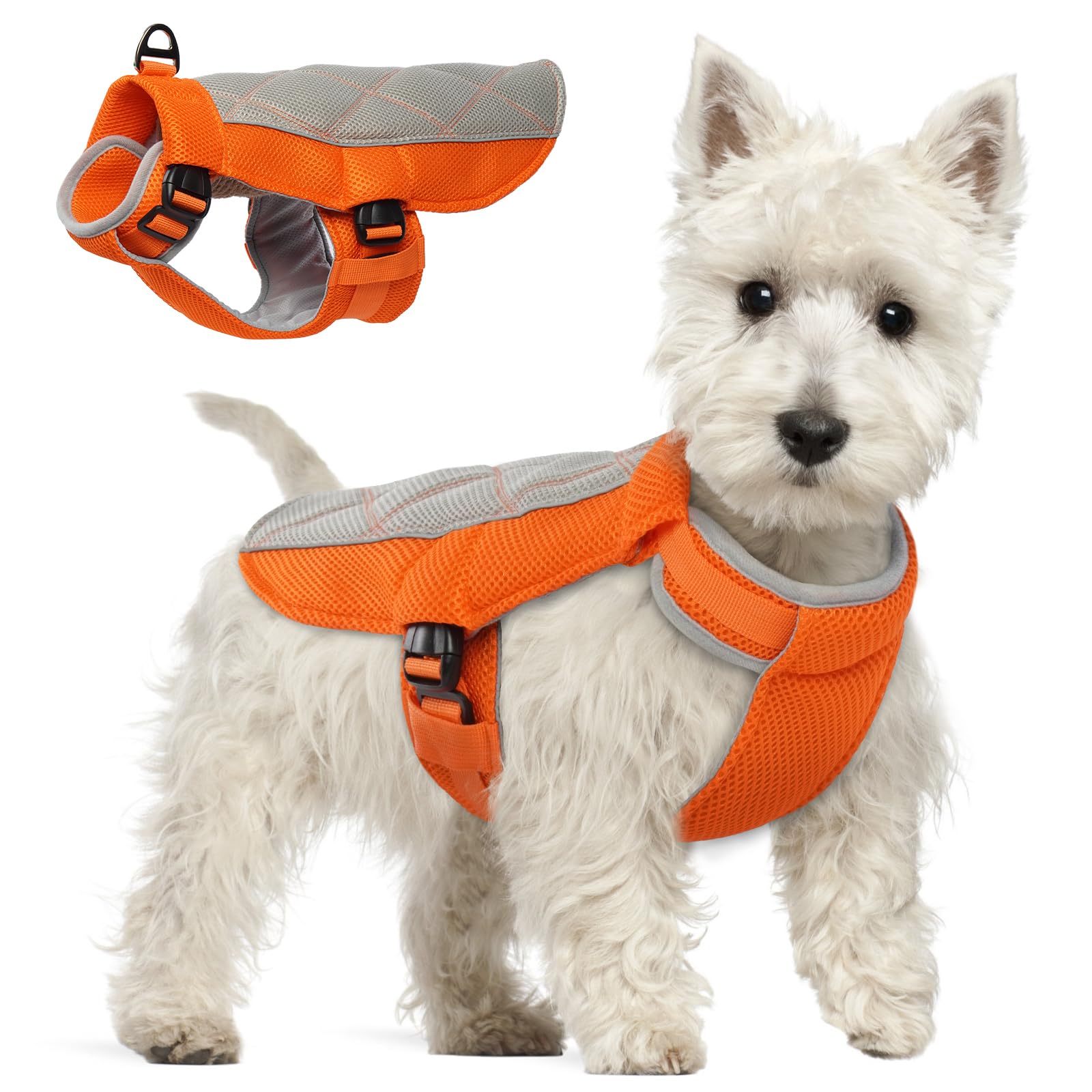 Dog Cooling Vest, Summer Dog Cooling Coat with Adjustable Neck and Tummy, Summer Cool Jacket with with Harness, Longer Coolness for Walks, Hikes, Beach Trips, Orange M