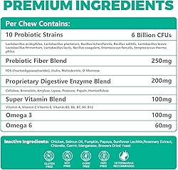 BIGHERO Probiotics for Dogs - Dog Probiotics with