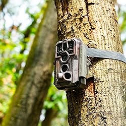 GardePro E5S Trail Camera 2 Pack, 64MP 1296p, Game