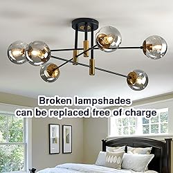 SZXYKEJI 6-Lights Glass Chandelier，Modern Flush