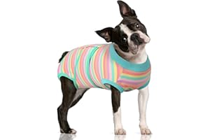 FUAMEY Recovery Suit for Dogs After Surgery,Soft Breathable Dog Bodysuit E-Collar & Cone Alternative Surgical Suit,Male Female Dog Neuter Spay Suits Anti Licking Wounds Onesie Mint Green Stripes M