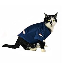 Littlearth NFL Denver Broncos Stretch Pet