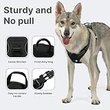 Belababy Dog Harness No Pull Reflective Front Clip Adjustable Black M view 3